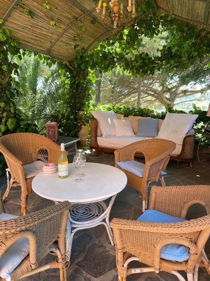 B&B Villa Il Poggetto Venturina Terme Zewnętrze zdjęcie
