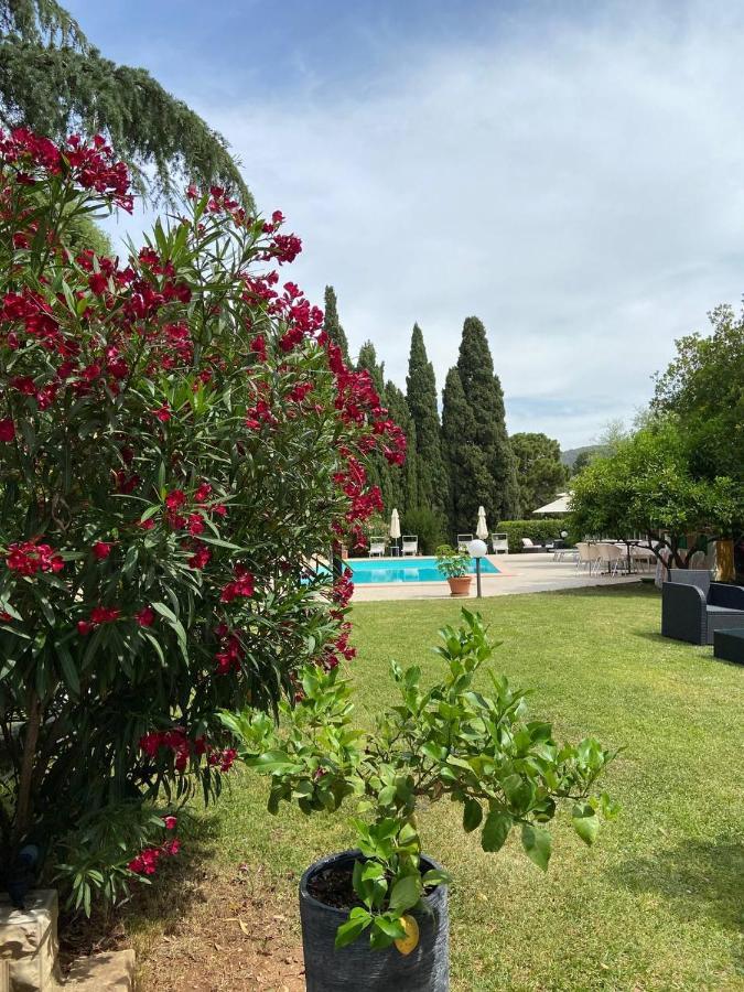 B&B Villa Il Poggetto Venturina Terme Zewnętrze zdjęcie