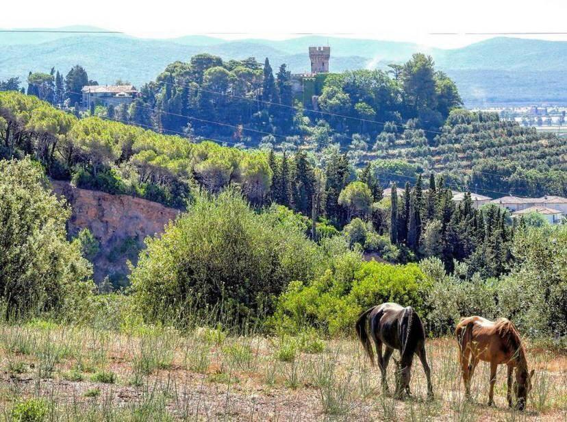 B&B Villa Il Poggetto Venturina Terme Zewnętrze zdjęcie
