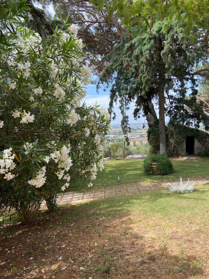 B&B Villa Il Poggetto Venturina Terme Zewnętrze zdjęcie
