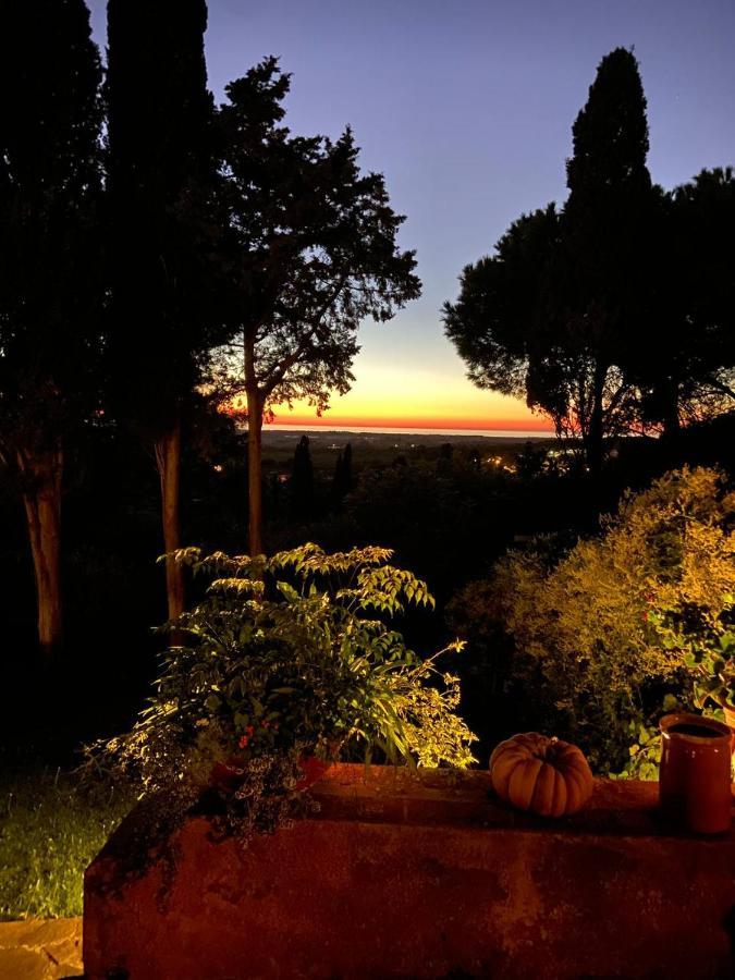 B&B Villa Il Poggetto Venturina Terme Zewnętrze zdjęcie