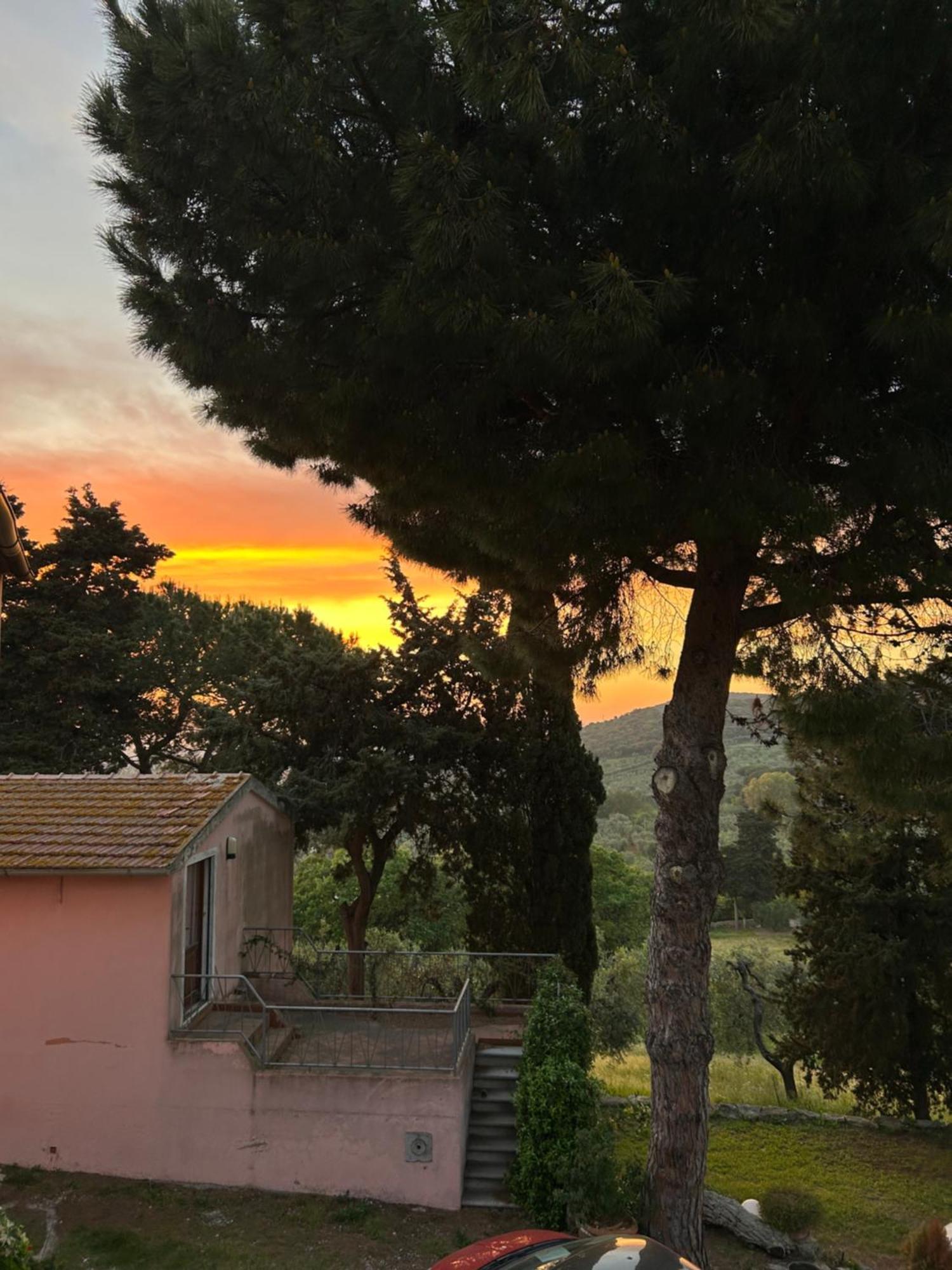 B&B Villa Il Poggetto Venturina Terme Zewnętrze zdjęcie
