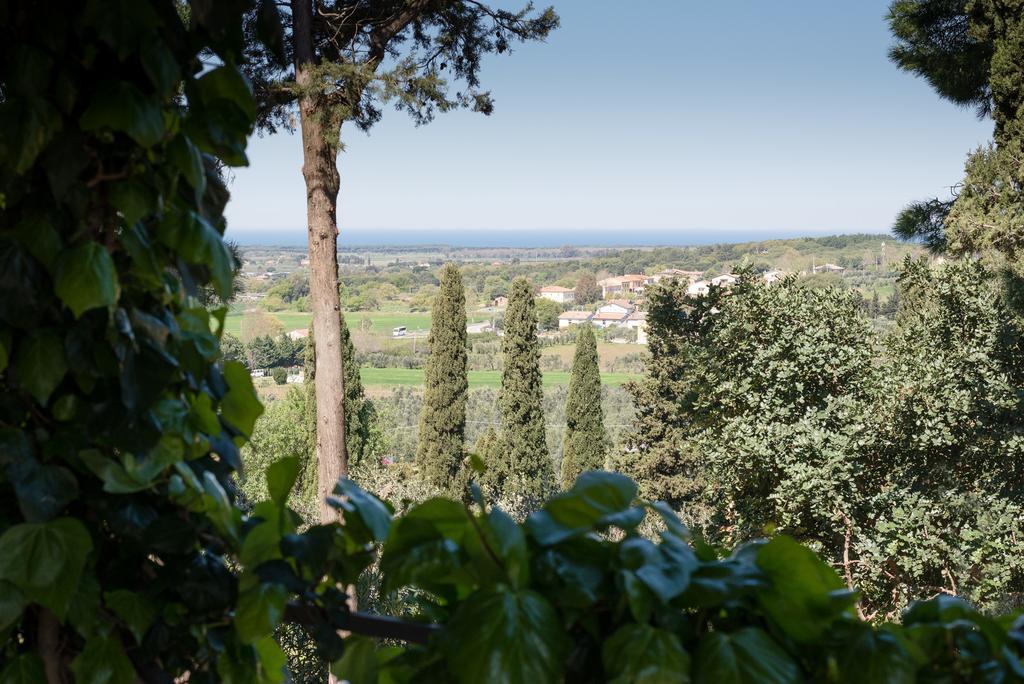 B&B Villa Il Poggetto Venturina Terme Zewnętrze zdjęcie