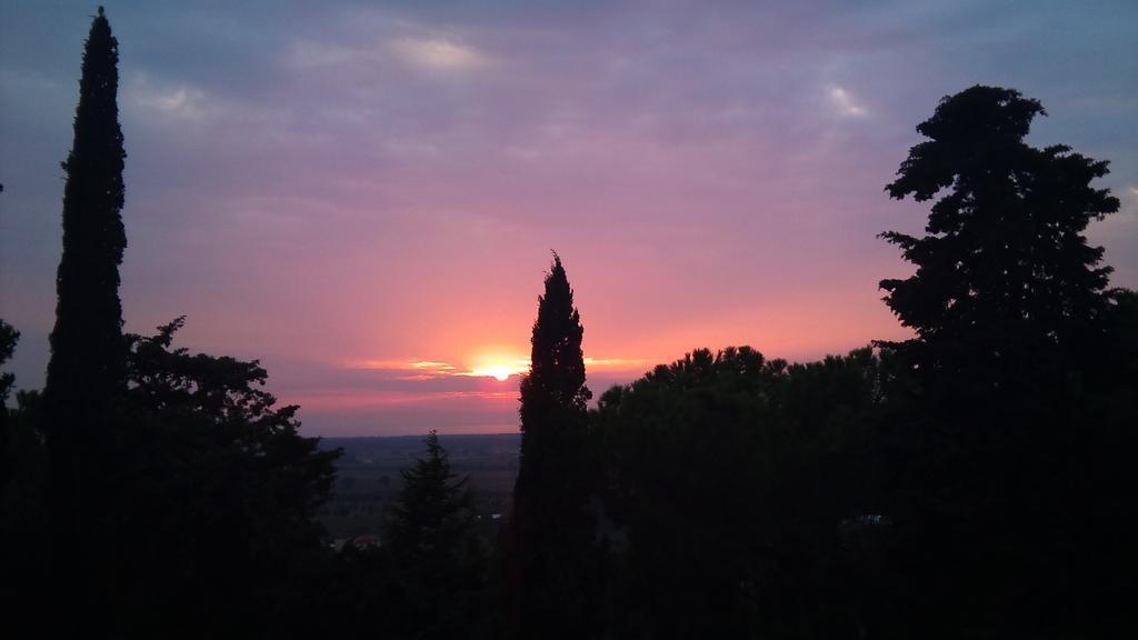B&B Villa Il Poggetto Venturina Terme Zewnętrze zdjęcie