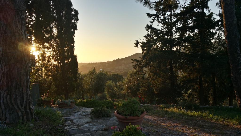 B&B Villa Il Poggetto Venturina Terme Zewnętrze zdjęcie