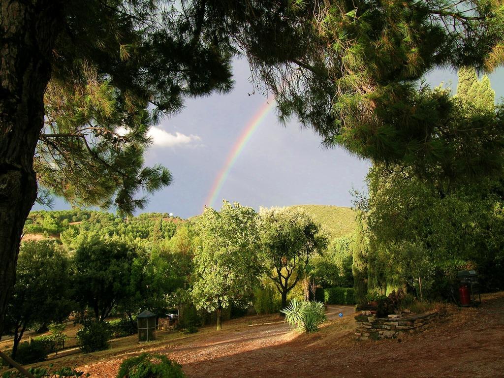 B&B Villa Il Poggetto Venturina Terme Zewnętrze zdjęcie