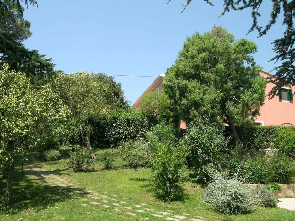 B&B Villa Il Poggetto Venturina Terme Zewnętrze zdjęcie